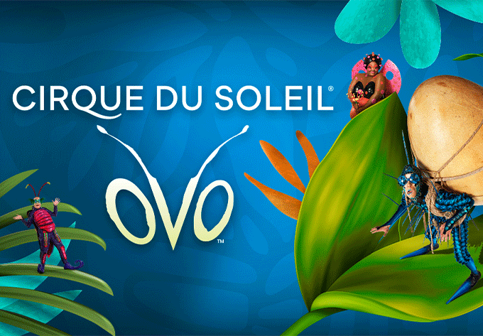 Cirque du Soleil: OVO   